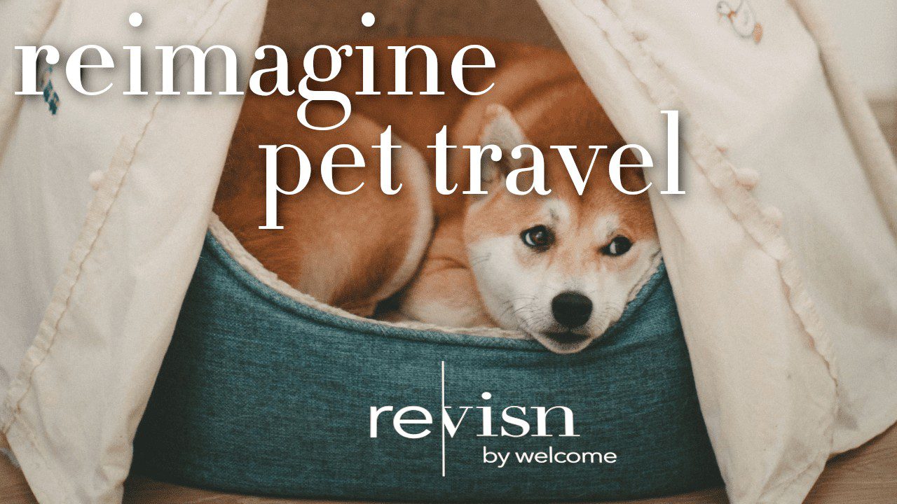 pet travel