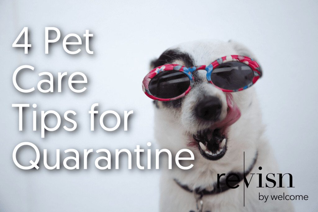 Petcareblog