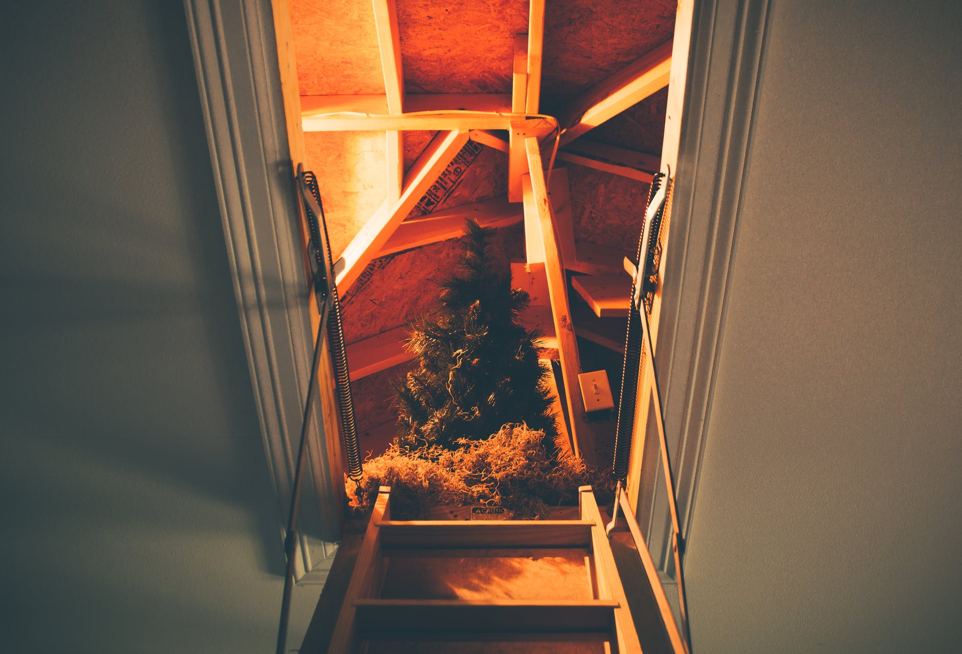 Pexels Photo 1628417
