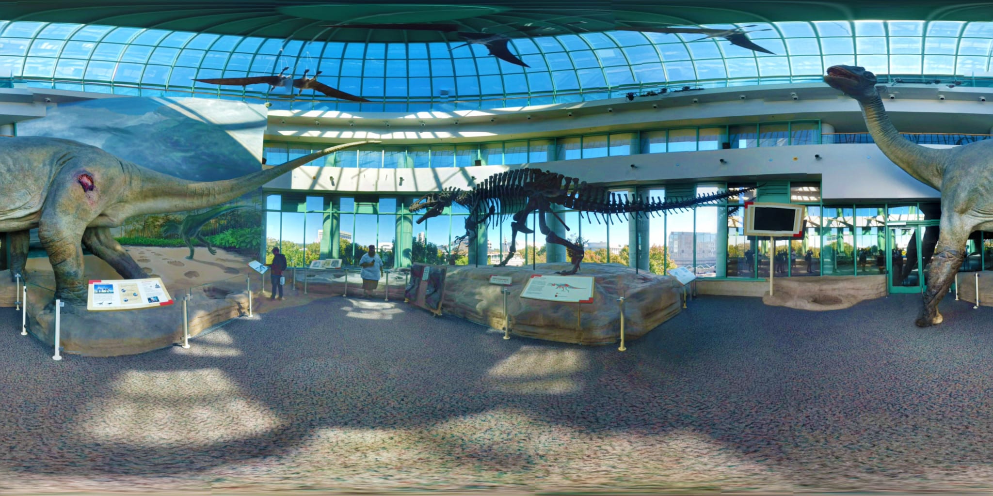 Display Of Dinosaurs At The North Carolina Museum Of Natural Sciences, Raleigh (360 Panoramic View)