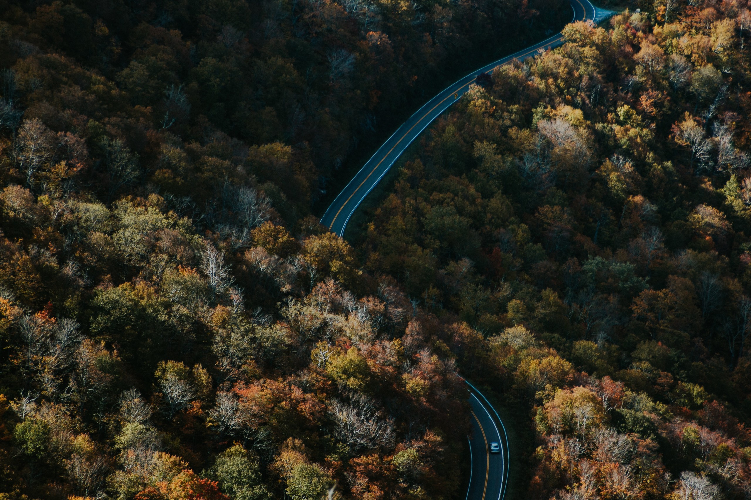 Ivana Cajina WxdgzJlKgoo Unsplash