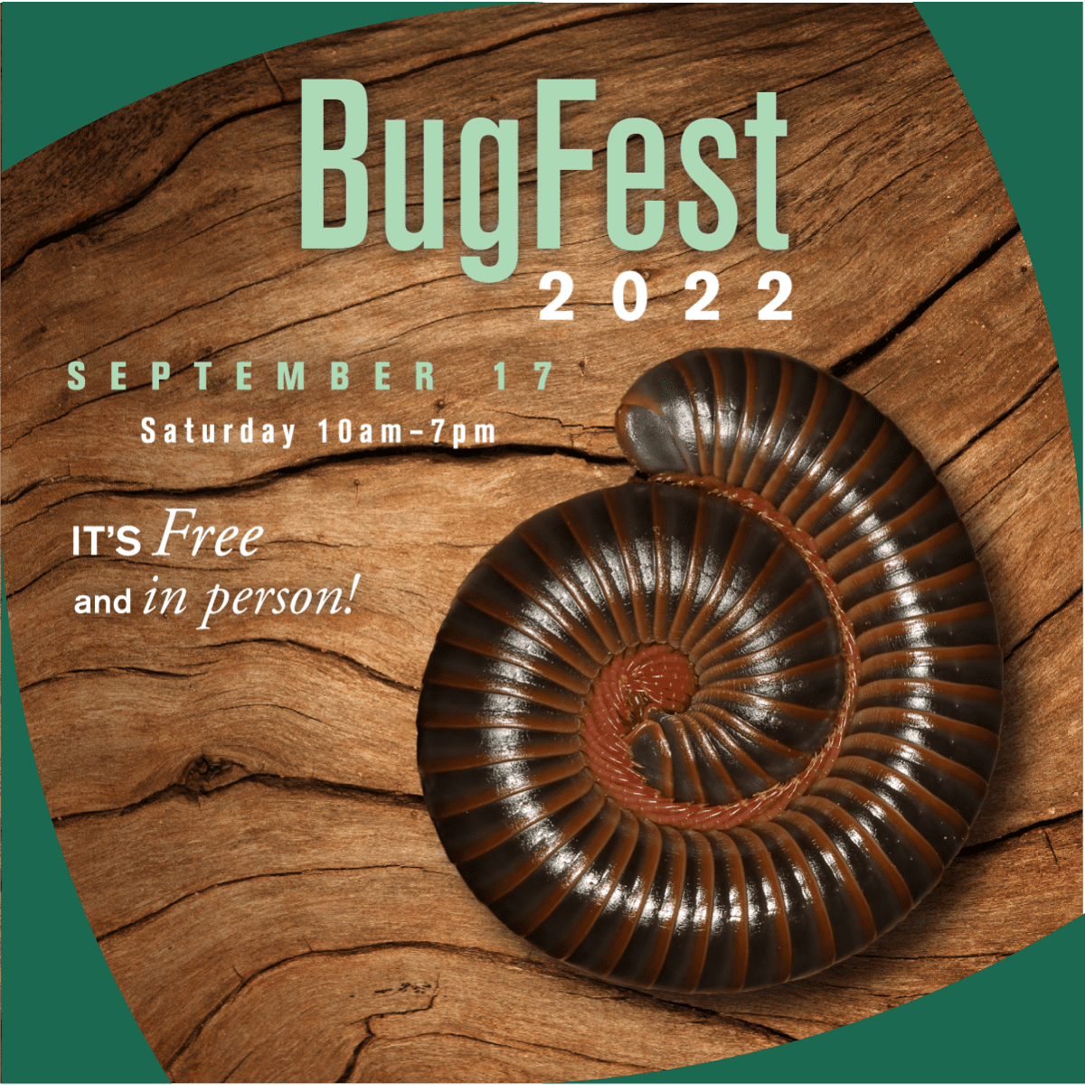 BugFest2022 DigitalAssets 1200×1200 1389D761 5A6B 4087 96CFF957C9DA2E34 Ba3c4a4c 706e 4d45 Af97589e67fdfbe9