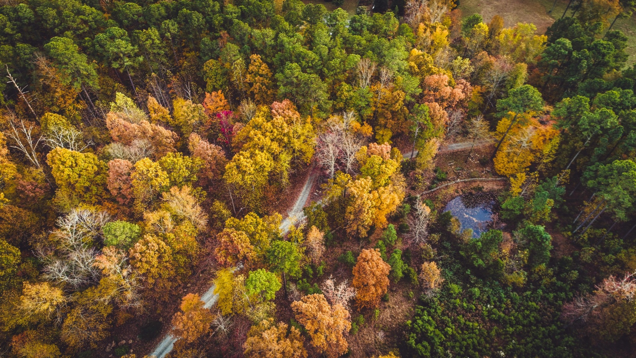 Orange.chapel Hill