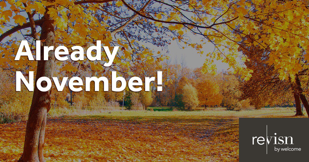 Already-November! february in raleigh