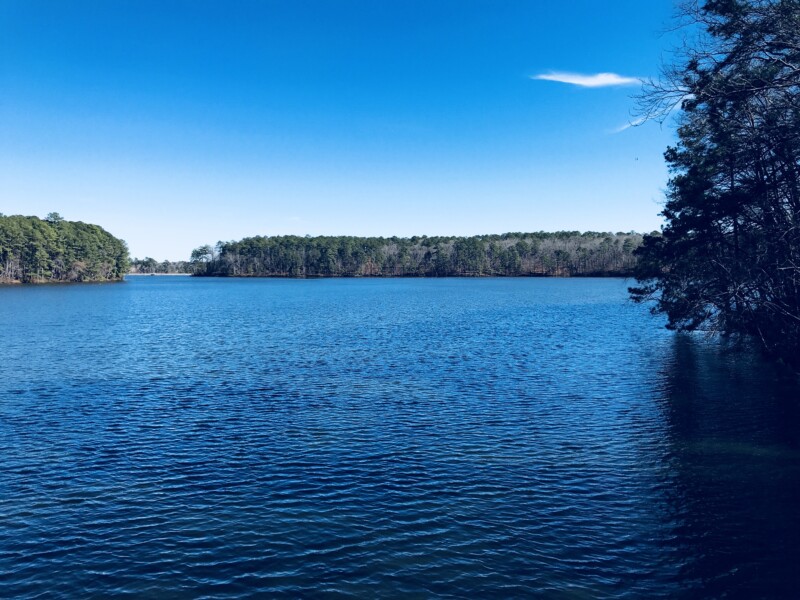 Lake Johnson Park