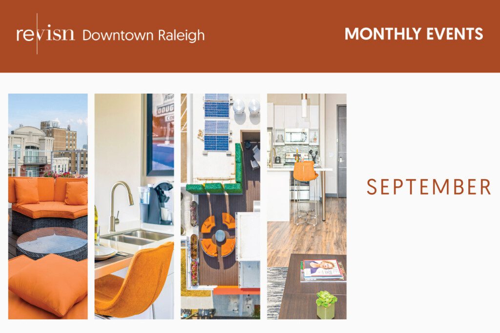 REVISN MONTHLY BLOG