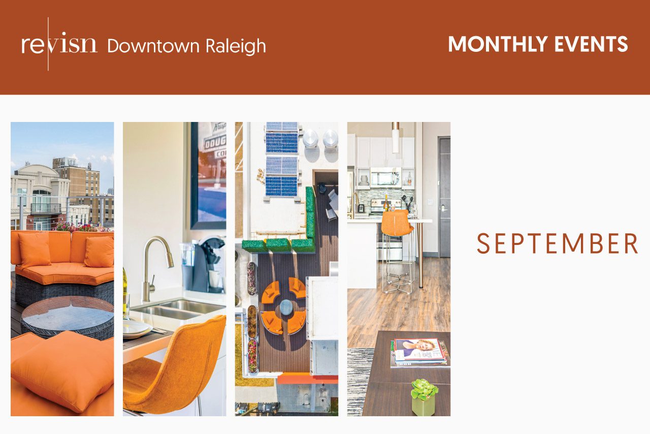 REVISN MONTHLY BLOG